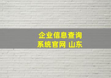 企业信息查询系统官网 山东